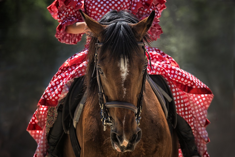 Femme montant un cheval