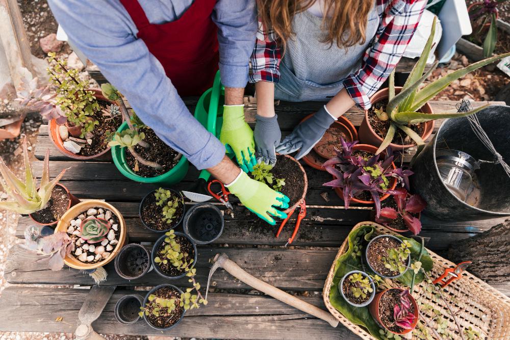 Pots jardin